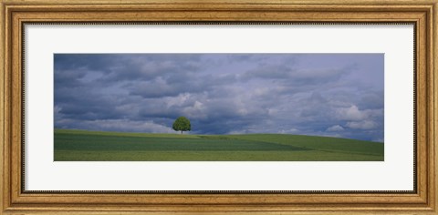 Framed Storm clouds over a field, Zurich Canton, Switzerland Print