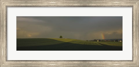Framed Storm clouds over a field, Canton Of Zurich, Switzerland Print