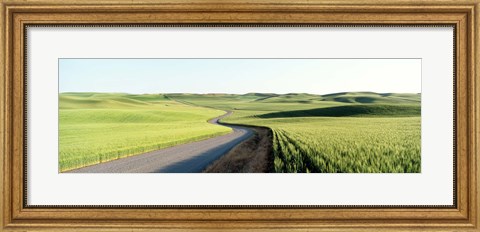 Framed Gravel Road Through Barley and Wheat Fields WA Print