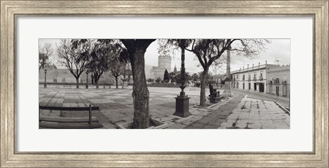 Framed Trees in front of a building, Alameda Vieja, Jerez, Cadiz, Spain Print