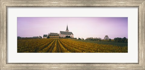 Framed Vineyard with a church in the background, Hochheim, Rheingau, Germany Print