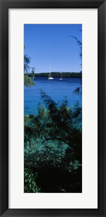 Framed Sailboats in the ocean, Kingdom of Tonga, Vava&#39;u Group of Islands, South Pacific Print