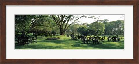 Framed Chairs and tables in a lawn, Lake Naivasha Country Club, Great Rift Valley, Kenya Print