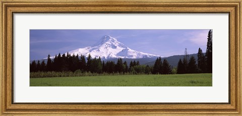 Framed Field with a snowcapped mountain in the background, Mt Hood, Oregon (horizontal) Print
