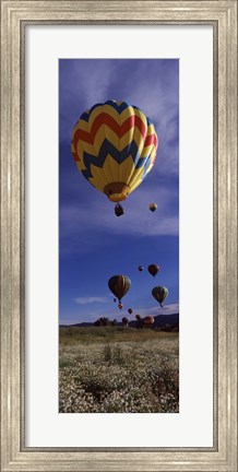 Framed Hot air balloons rising, Hot Air Balloon Rodeo, Steamboat Springs, Colorado Print