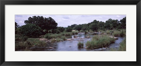 Framed Sabie River, Kruger National Park, South Africa Print