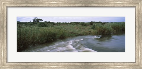 Framed River flowing through a forest, Sabie River, Kruger National Park, South Africa Print