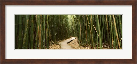 Framed Wooden path surrounded by bamboo, Oheo Gulch, Seven Sacred Pools, Hana, Maui, Hawaii, USA Print