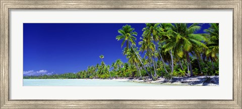 Framed Beach With Palm Trees, Bora Bora, Tahiti Print