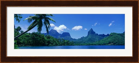 Framed Lush Foliage And Rock Formations, Moorea Island, Tahiti Print