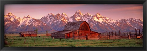 Framed Barn Grand Teton National Park WY USA Print