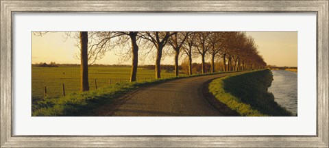 Framed Winding Road, Trees, Oudendijk, Netherlands Print