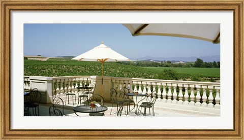 Framed Vineyards Terrace at Winery Napa Valley CA USA Print