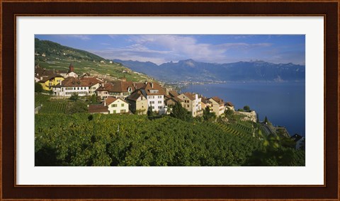 Framed Village Rivaz between Vineyards &amp; Mts. Lake Geneva Switzerland Print