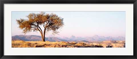 Framed Tree in a field with a mountain range in the background, Debre Damo, Tigray, Ethiopia Print