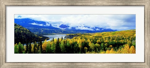 Framed Panoramic View Of A Landscape, Yukon River, Alaska, USA, Print