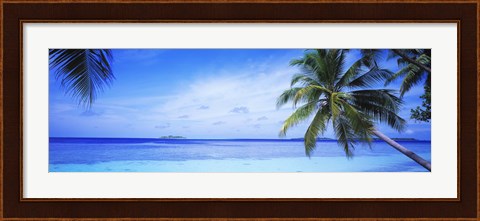 Framed Ocean, Island, Water, Palm Trees, Maldives Print
