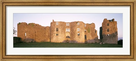 Framed Lawn in front of a landscape, Roscommon Castle, Roscommon County, Republic Of Ireland Print