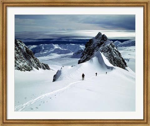 Framed Upper Fox Glacier Westland NP New Zealand Print