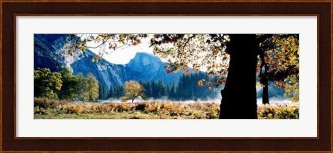 Framed Half Dome, Yosemite National Park, California, USA Print