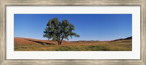 Framed Wind Cave National Park, South Dakota, USA Print