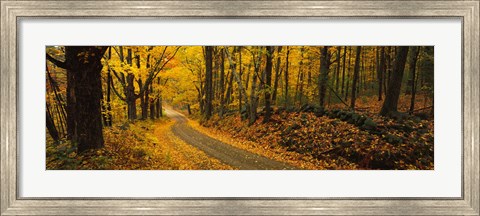 Framed Fall woods Monadnock NH USA Print