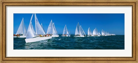 Framed Sailboats racing in the ocean, Key West, Florida Print