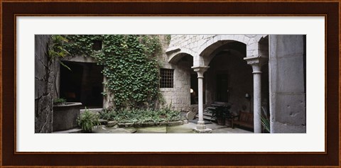Framed Ivy on the wall of a house, Girona, Spain Print