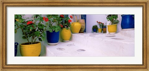 Framed Potted plants on steps, Mykonos, Cyclades Islands, Greece Print