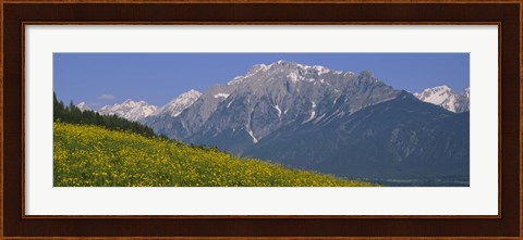 Framed High angle view of flowers on a landscape, Tirol, Austria Print