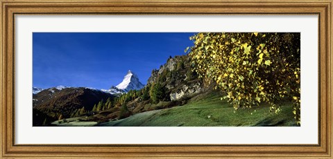 Framed Low angle view of a snowcapped mountain, Matterhorn, Valais, Switzerland Print