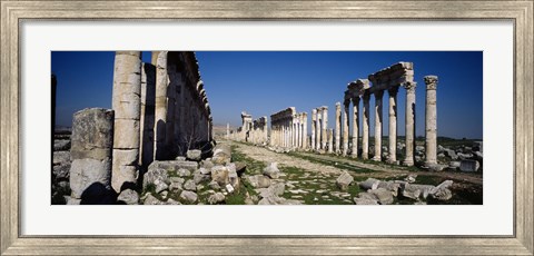 Framed Old ruins on a landscape, Cardo Maximus, Apamea, Syria Print