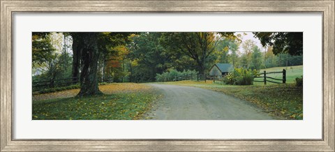 Framed Trees at a Roadside, Vermont Print
