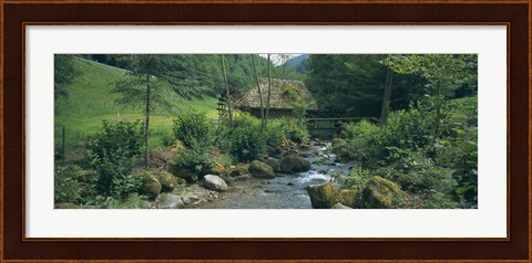 Framed River flowing through forest, Black Forest, Glottertal, Germany Print