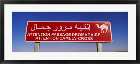 Framed Low angle view of a camel crossing signboard, Douz, Tunisia Print