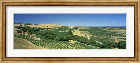 Framed Carneros District, Napa Valley, Napa County, California Print