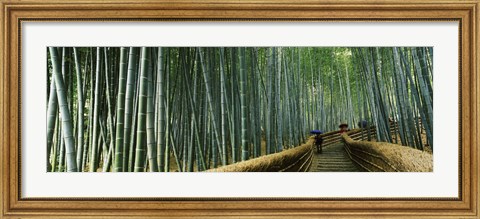 Framed Stepped walkway passing through a bamboo forest, Arashiyama, Kyoto Prefecture, Kinki Region, Honshu, Japan Print