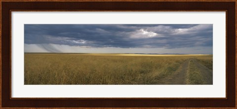 Framed Dirt road passing through a meadow, Masai Mara National Reserve, Great Rift Valley, Kenya Print