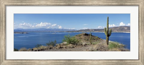 Framed Cactus at the lakeside with a mountain range in the background, Lake Pleasant, Arizona, USA Print