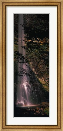 Framed Waterfall in a forest, Columbia Gorge, Oregon, USA Print