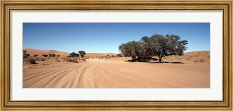 Framed Tire tracks in an arid landscape, Sossusvlei, Namib Desert, Namibia Print