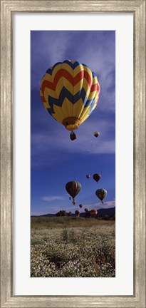 Framed Hot air balloons rising, Hot Air Balloon Rodeo, Steamboat Springs, Colorado Print