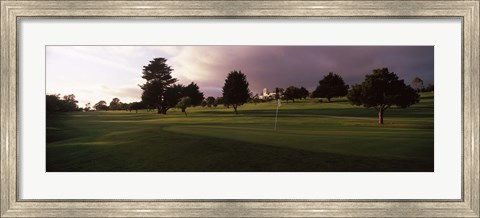 Framed Trees in a golf course, Montecito Country Club, Santa Barbara, California, USA Print