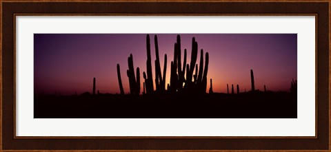 Framed Silhouette of Organ Pipe cacti (Stenocereus thurberi) on a landscape, Organ Pipe Cactus National Monument, Arizona, USA Print