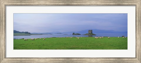 Framed Castle on an island, Glencoe, Loch Linnh, Stalker Castle, Scotland Print
