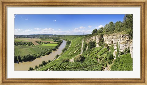 Framed High angle view of vineyards, Neckar River, Hessigheim, Baden-Wurttemberg, Germany Print