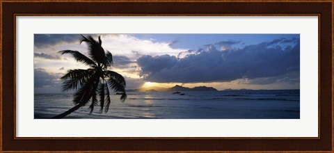 Framed Silhouette of coconut palm tree at sunset, from Anse Severe Beach, La Digue Island, Seychelles Print