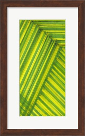 Framed Line Study Green Print