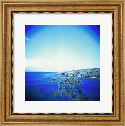 Framed Holga Hawaii I Print