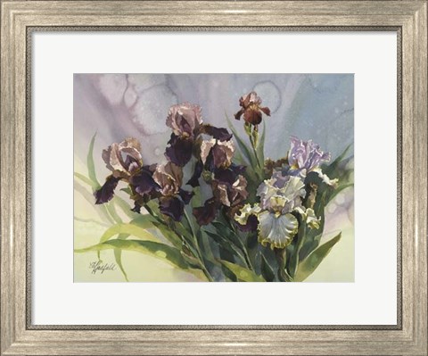 Framed Hadfield Irises IV Print